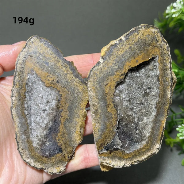 Mixed Agate Crystal Cave Egg-ToShay.org