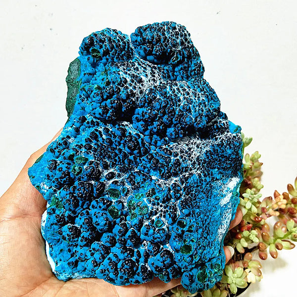 Blue Chrysocolla Raw Rock-ToShay.org