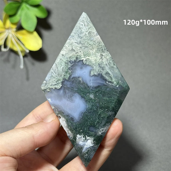 Green Aquatic Plant Agate-ToShay.org