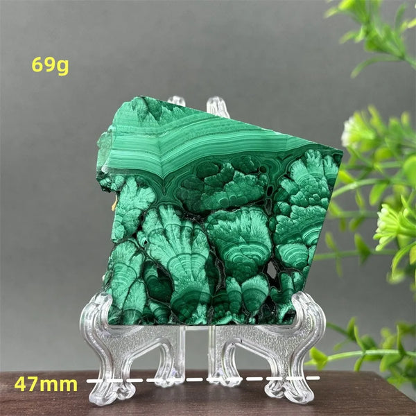 Green Malachite Slice-ToShay.org