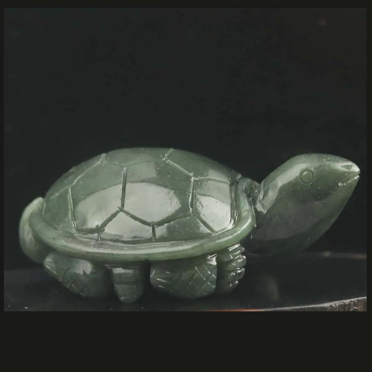 Green Jade Turtle-ToShay.org