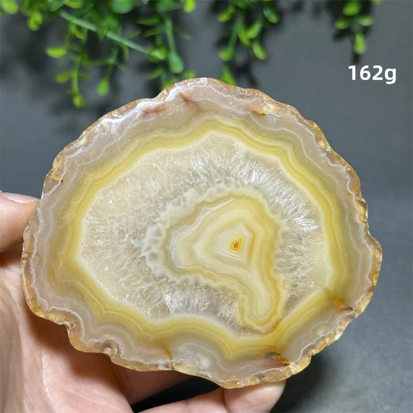 Yellow Agate Slice-ToShay.org