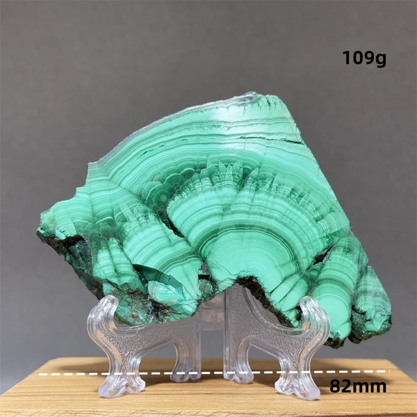 Green Malachite Slice-ToShay.org