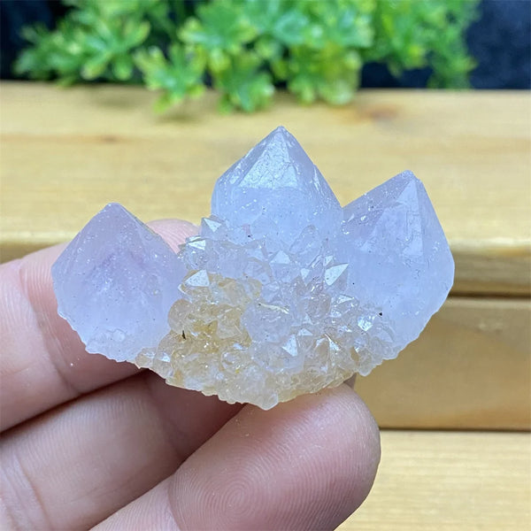 Purple Cactus Crystal Cluster-ToShay.org