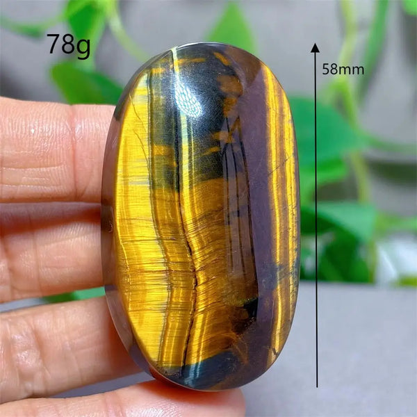 Blue Yellow Tiger Eye-ToShay.org