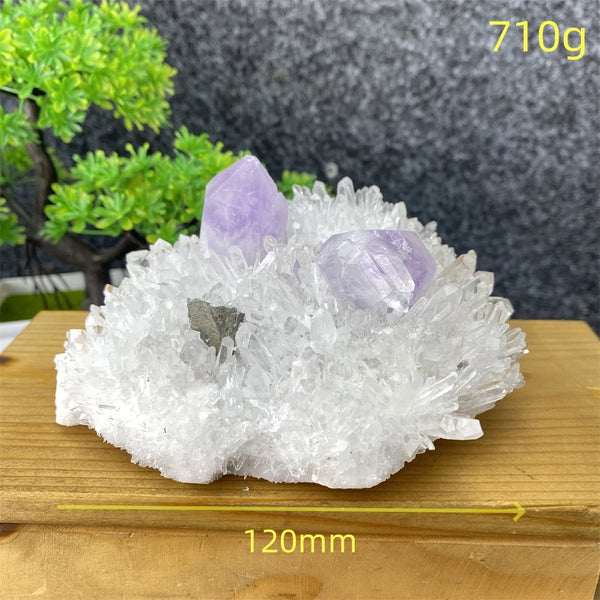 White Crystal Quartz-ToShay.org
