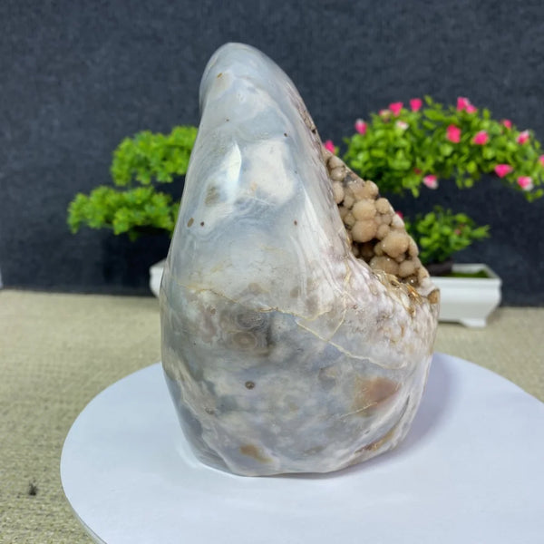 Pink Amethyst Agate Geode-ToShay.org