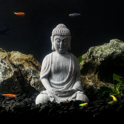 Shakyamuni Buddha Statues-ToShay.org