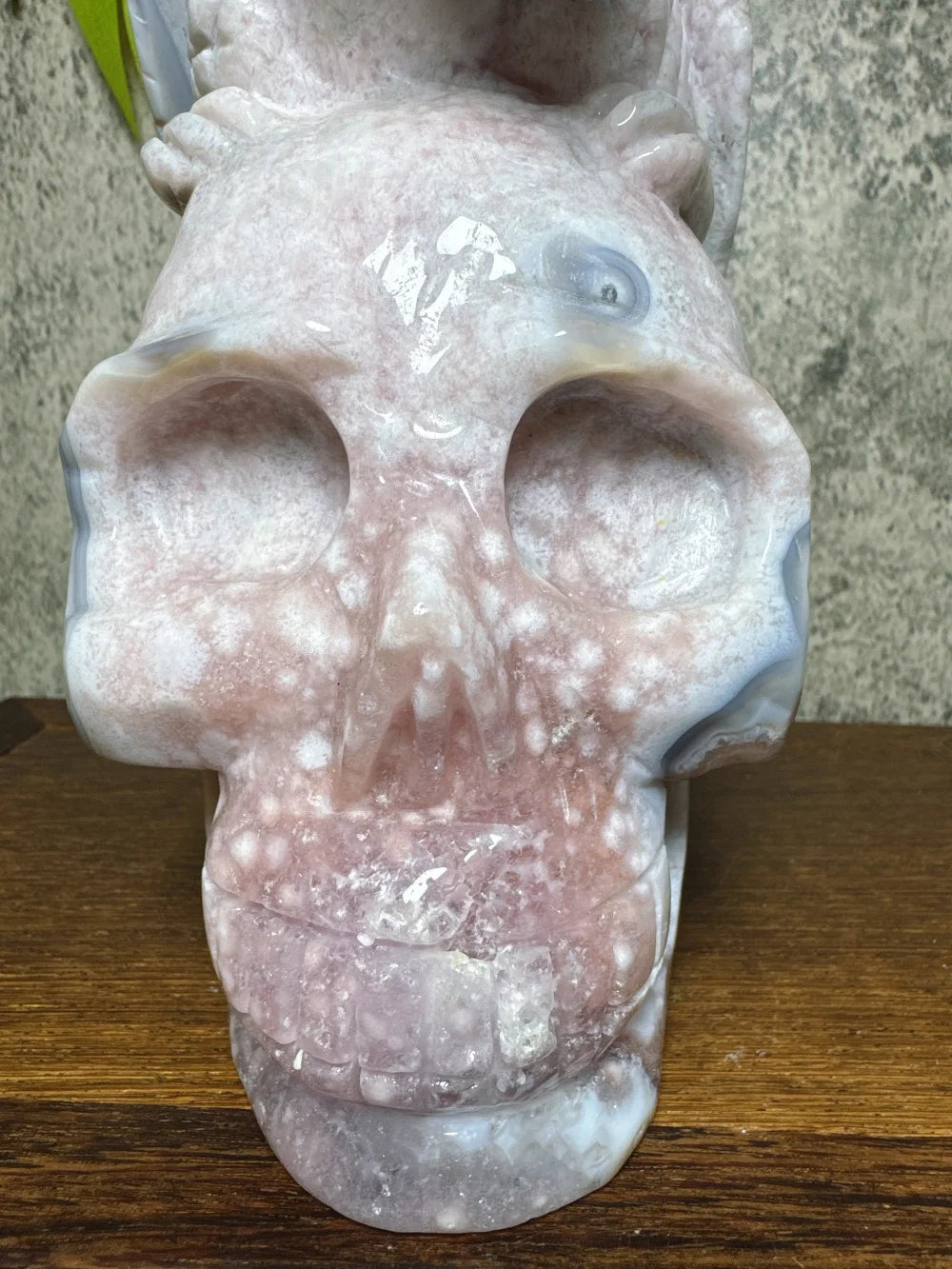 Grey Flower Agate Pterosaur Skull-ToShay.org