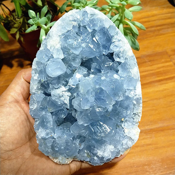 Blue Celestine Geode Crystal-ToShay.org