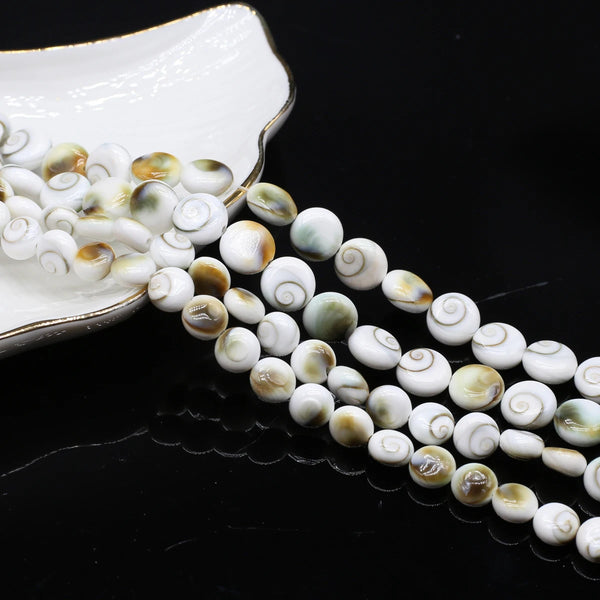 White Shell Beads-ToShay.org