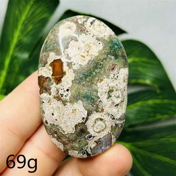 Australian Natural Opal Agate Stone Palmstone Raw Mineral Specimens Home Room Decoration Holiday Gifts Spiritual Healing-ToShay.org