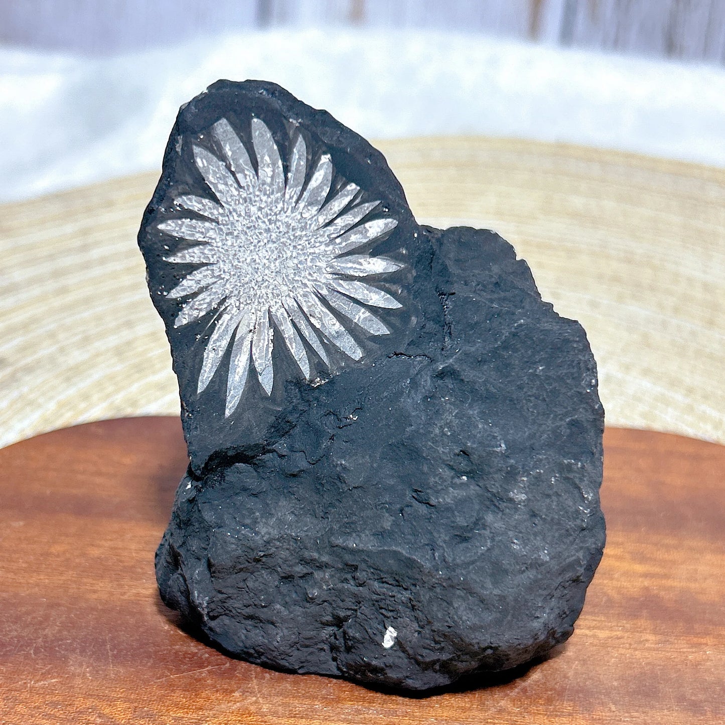 Black Chrysanthemum Raw Stone-ToShay.org