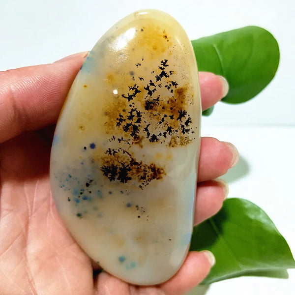 Yellow Blue Water Plant Agate-ToShay.org