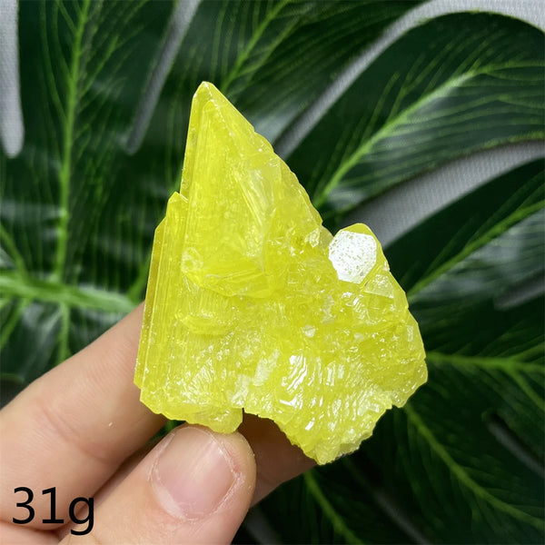 Yellow Sulfur Clusters-ToShay.org