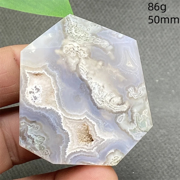 Green Water Plant Agate-ToShay.org