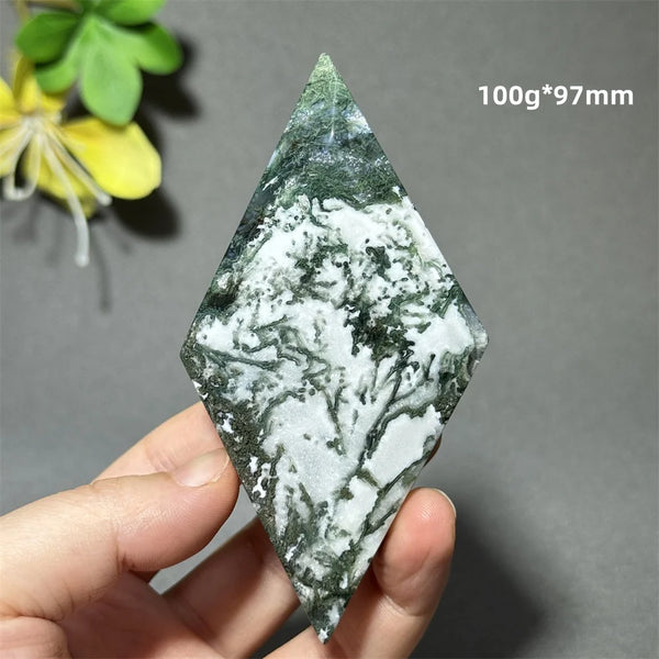 Green Aquatic Plant Agate-ToShay.org
