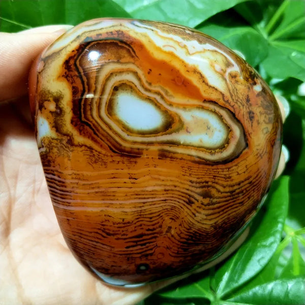 Red Sardonyx Agate-ToShay.org