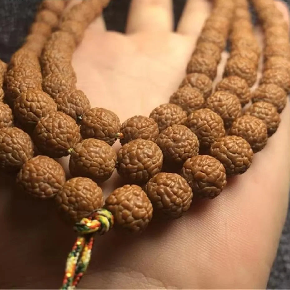 Brown Rudraksha Beads-ToShay.org