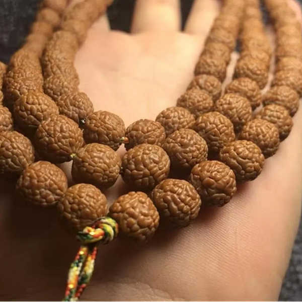 Tibetan Rudraksha Bodhi Beads-ToShay.org