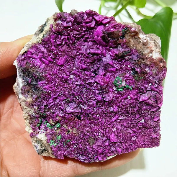 Pink Cobalt Calcite Crystal-ToShay.org