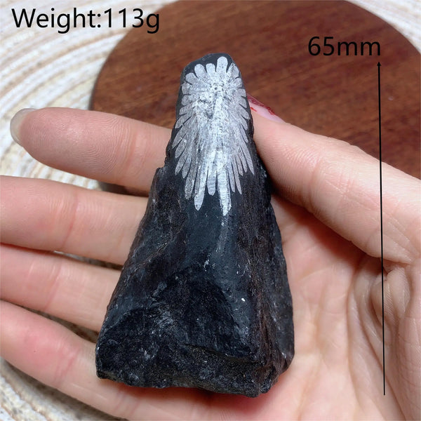 Black Chrysanthemum Raw Stone-ToShay.org