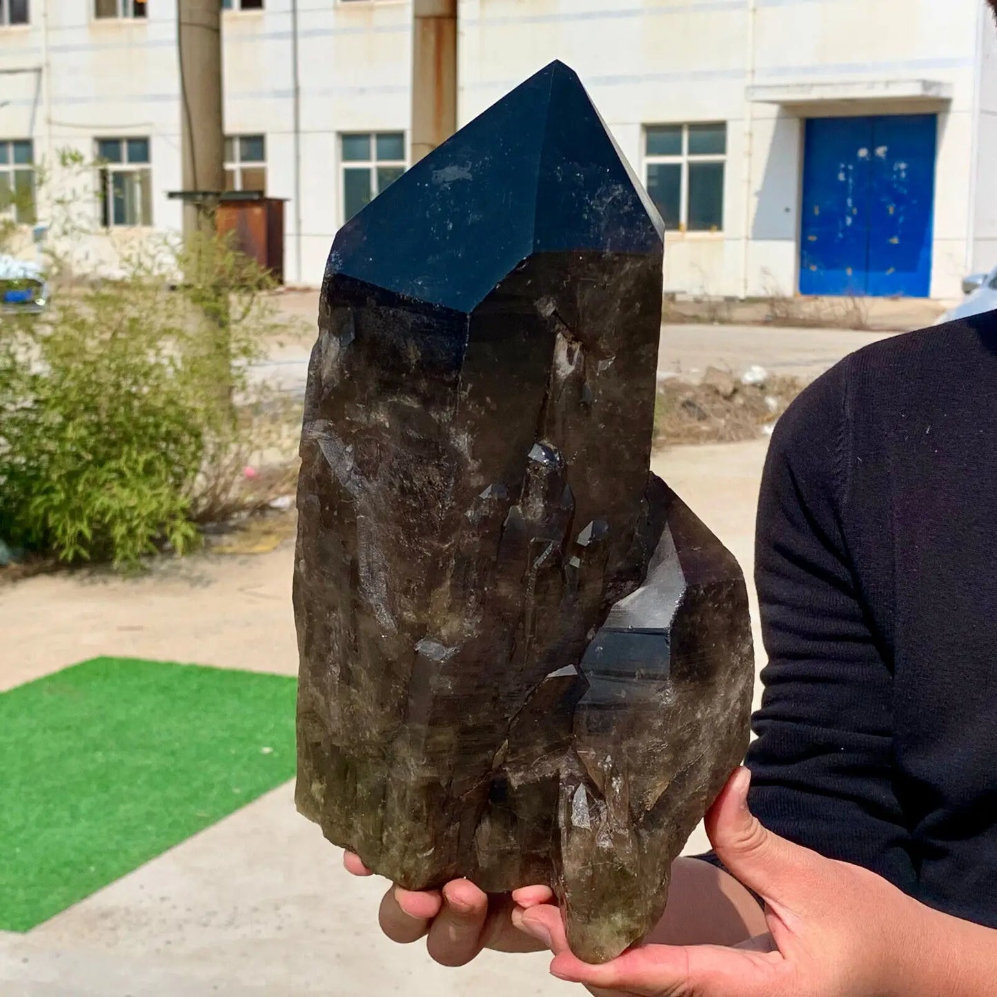 Black Crystal Backbone Point-ToShay.org