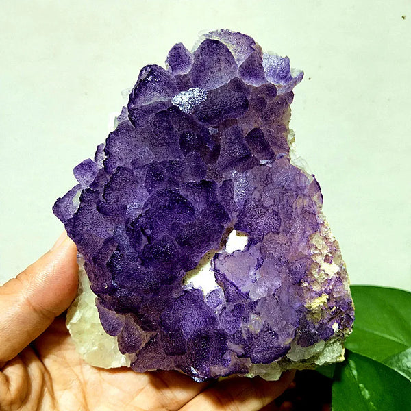 Purple Fluorite Crystal-ToShay.org