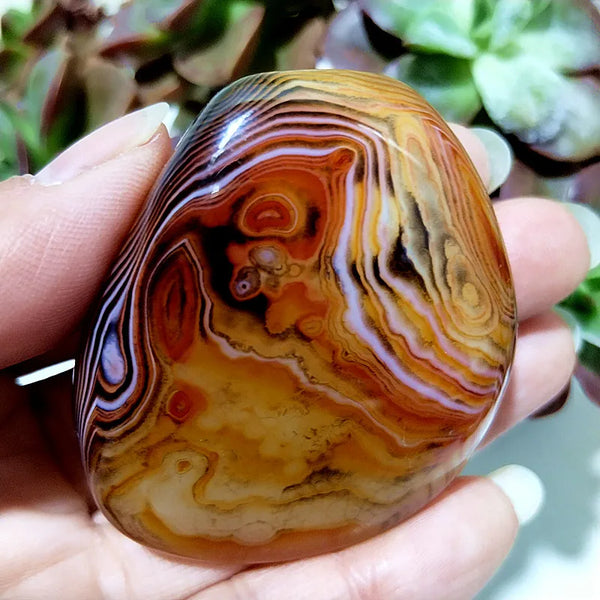 Red Lace Sardonyx Agate-ToShay.org