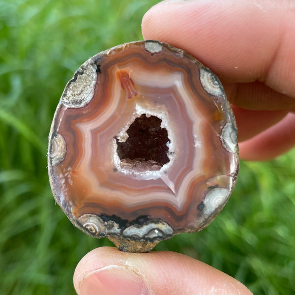 Yellow Agate Geode Egg-ToShay.org