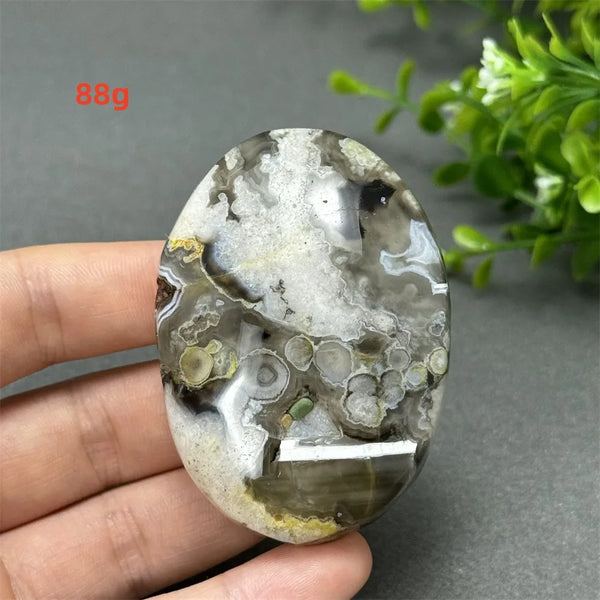 Black Cherry Blossom Agate-ToShay.org