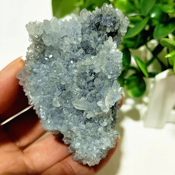 Blue Chrysanthemum Fluorite Cluster-ToShay.org