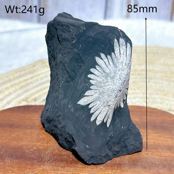 Black Chrysanthemum Raw Stone-ToShay.org