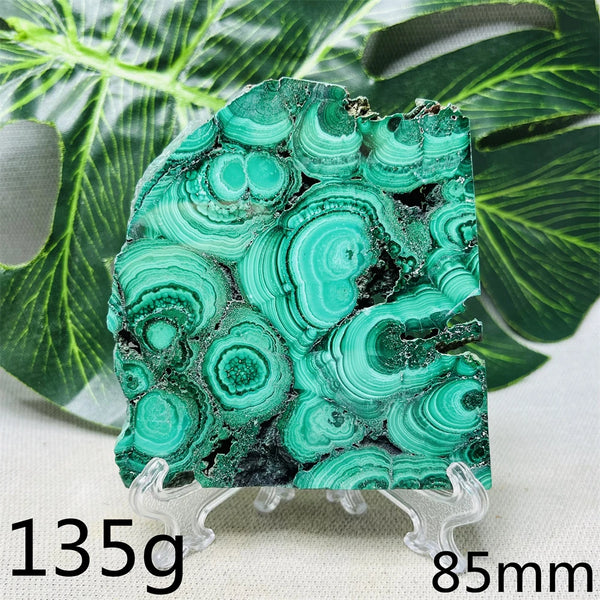 Green Malachite Slice-ToShay.org