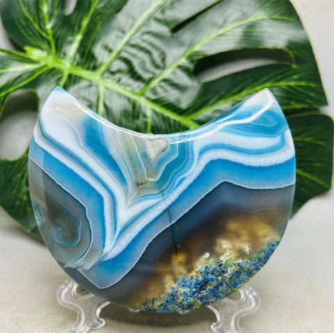 Blue Lace Geode Agate-ToShay.org