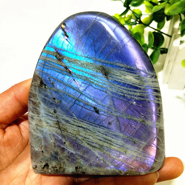 Violet Labradorite Crystal-ToShay.org