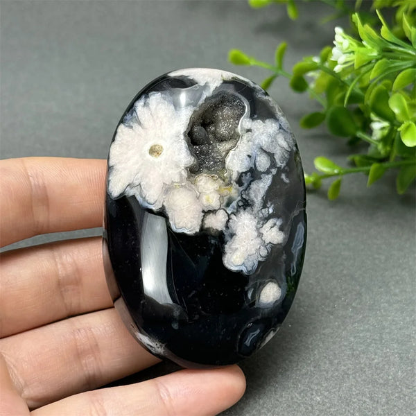 Black Cherry Blossom Agate-ToShay.org