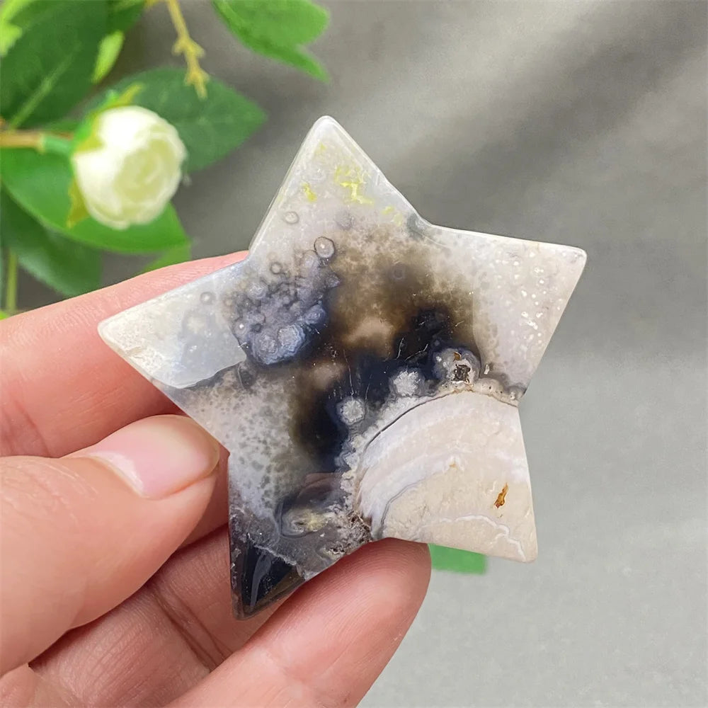 Black Cherry Blossom Agate-ToShay.org