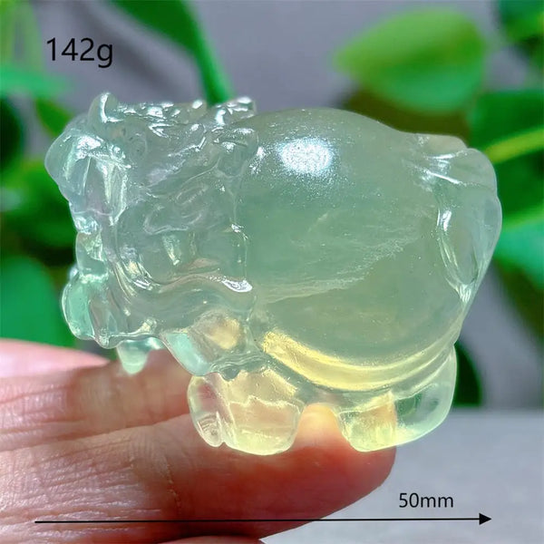 Rainbow Fluorite Dragon Turtle-ToShay.org