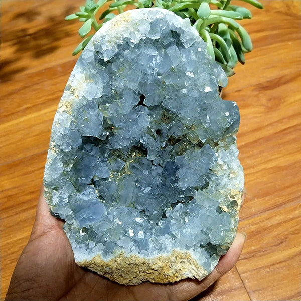 Blue Celestine Geode Crystal-ToShay.org