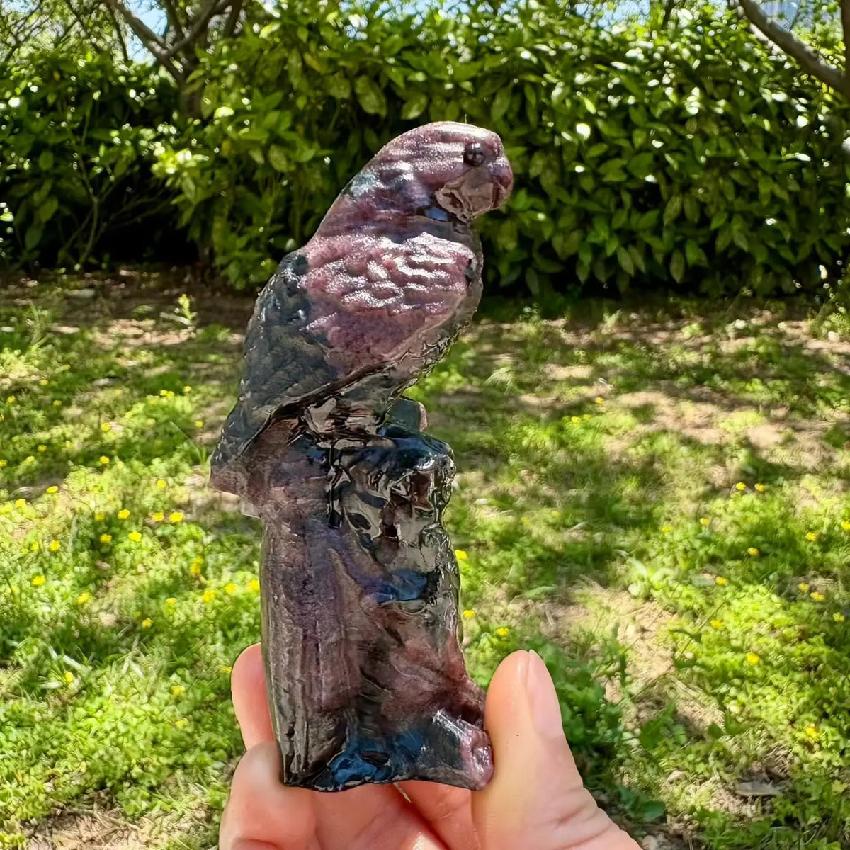 Mixed Quartz Parrots-ToShay.org