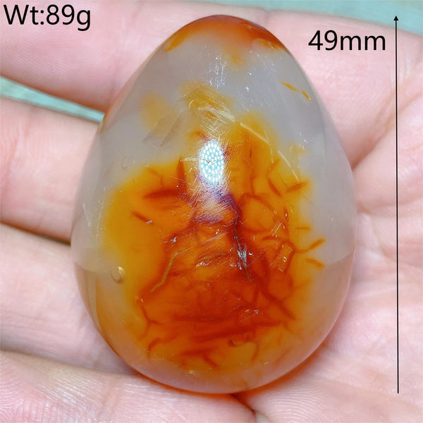 Orange Carnelian Egg-ToShay.org