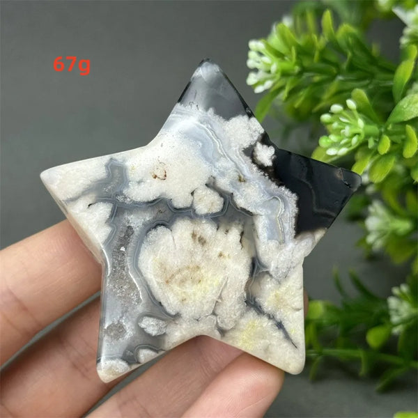 Black Cherry Blossom Agate-ToShay.org