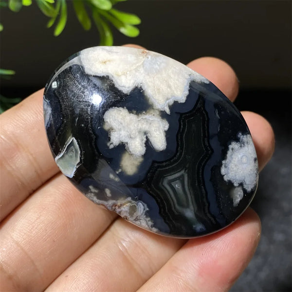 Black Flower Agate-ToShay.org