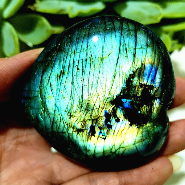 Blue Labrador Stone Heart-ToShay.org