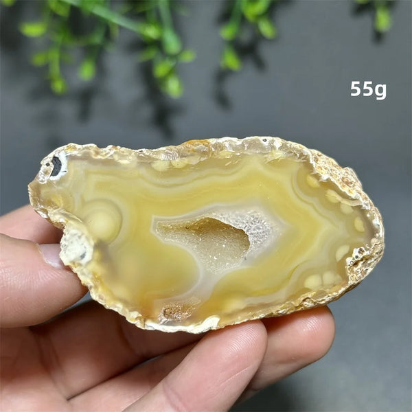 Yellow Agate Slice-ToShay.org