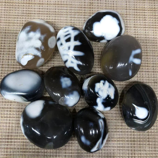 White Black Orca Agate Stones-ToShay.org