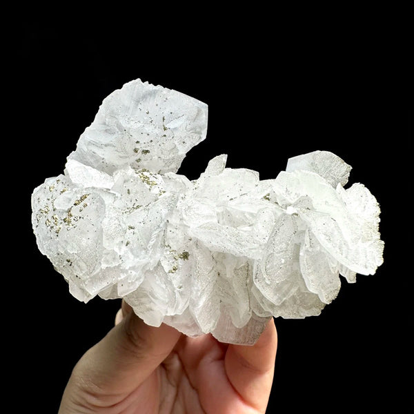 White Calcite Rose-ToShay.org