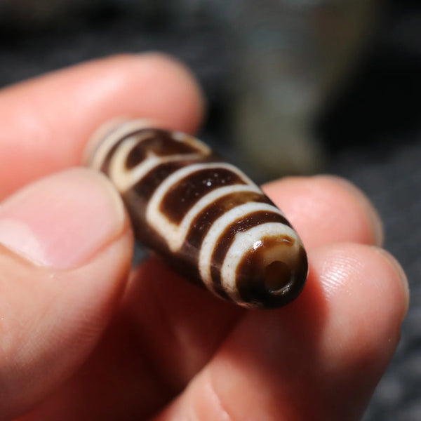 Tibetan Agate Eyes Dzi Bead-ToShay.org
