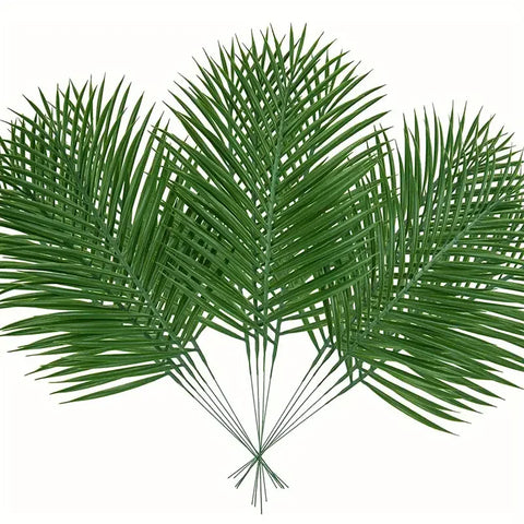 Green Palm Tree Leaves-ToShay.org